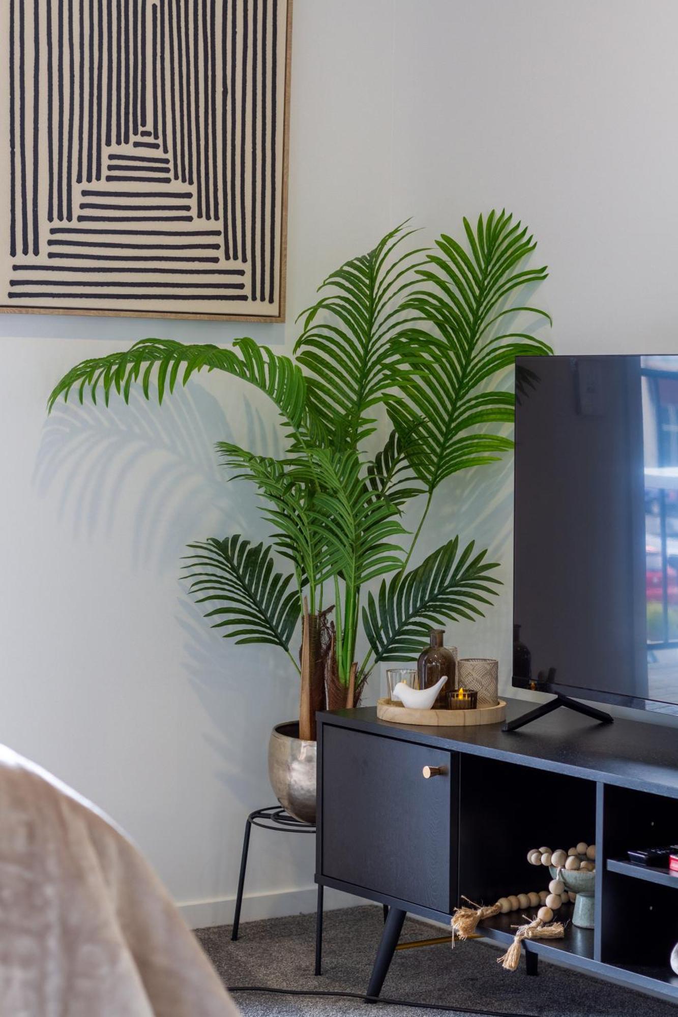 Luxurious Studio Prime Location City Centre Christchurch Ngoại thất bức ảnh